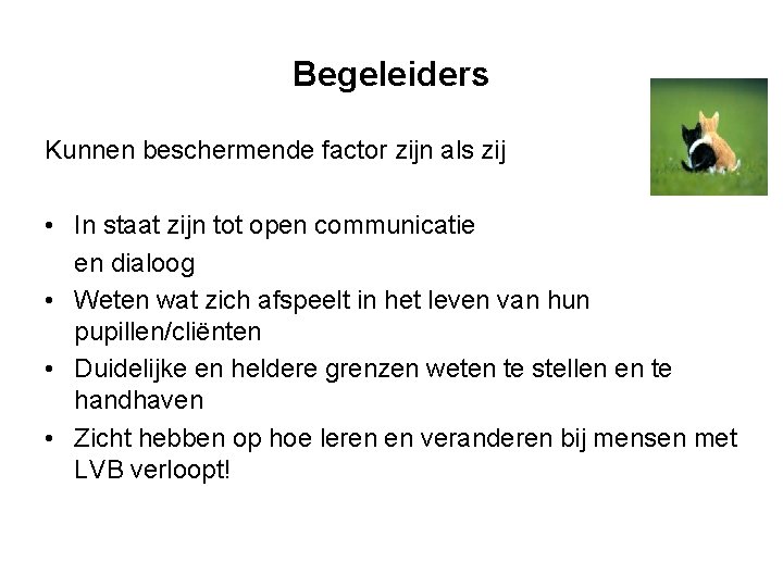 Begeleiders Kunnen beschermende factor zijn als zij • In staat zijn tot open communicatie