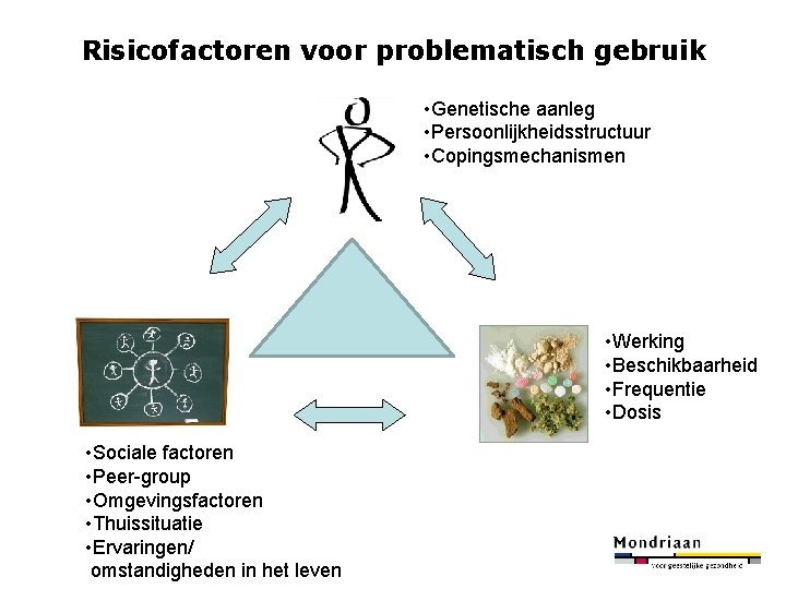 Risicofactoren voor problematisch gebruik • Genetische aanleg • Persoonlijkheidsstructuur • Copingsmechanismen • Werking •