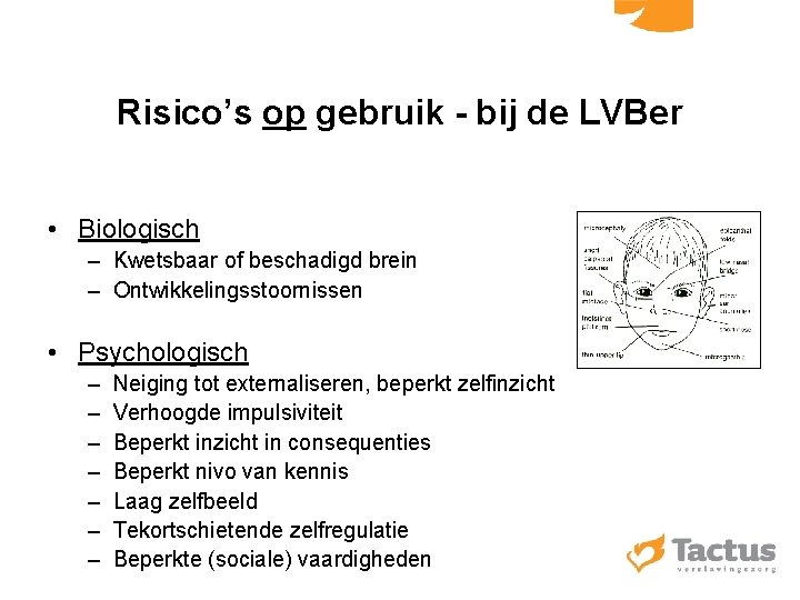 Risico’s op gebruik - bij de LVBer • Biologisch – Kwetsbaar of beschadigd brein