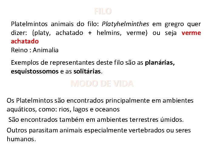 FILO Platelmintos animais do filo: Platyhelminthes em gregro quer dizer: (platy, achatado + helmins,