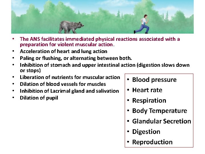  • The ANS facilitates immediated physical reactions associated with a preparation for violent