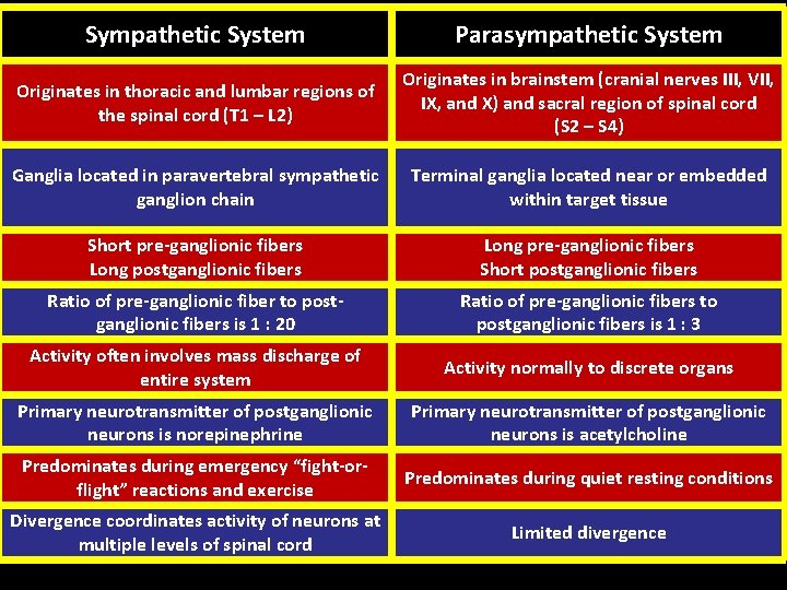 Sympathetic System Parasympathetic System Originates in thoracic and lumbar regions of the spinal cord