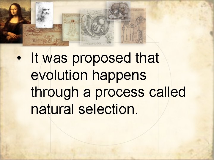  • It was proposed that evolution happens through a process called natural selection.