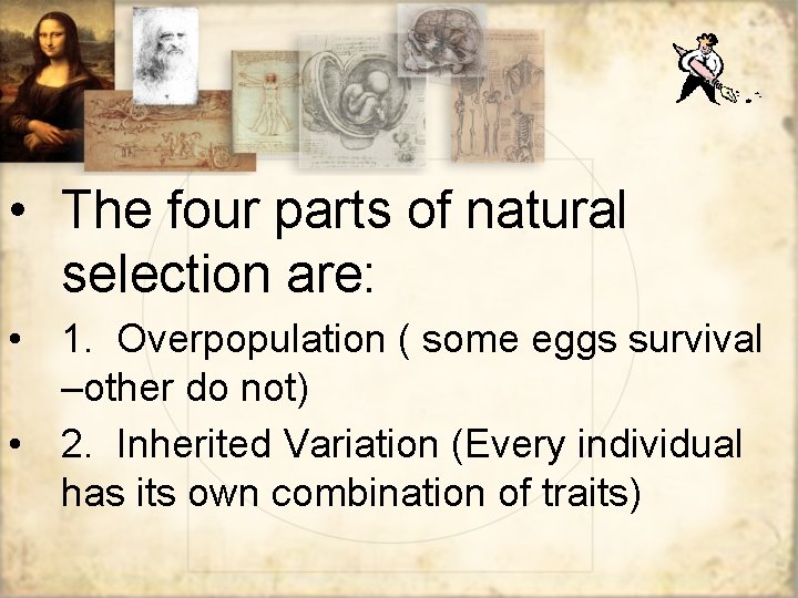 • The four parts of natural selection are: • 1. Overpopulation ( some