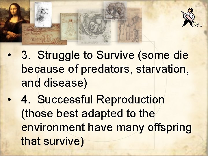  • 3. Struggle to Survive (some die because of predators, starvation, and disease)