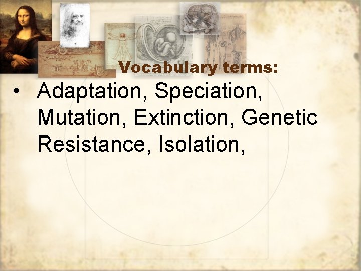 Vocabulary terms: • Adaptation, Speciation, Mutation, Extinction, Genetic Resistance, Isolation, 