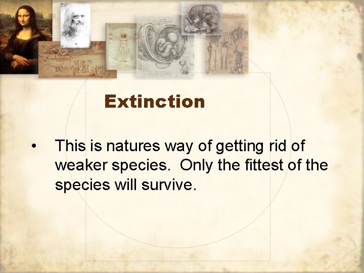 Extinction • This is natures way of getting rid of weaker species. Only the