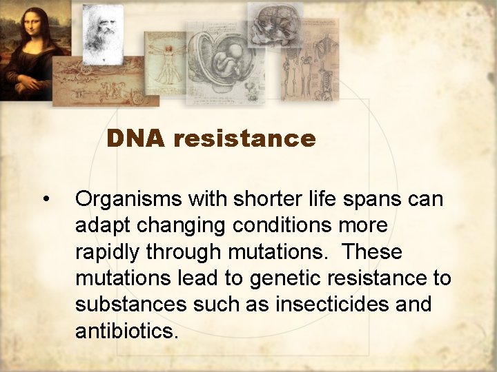 DNA resistance • Organisms with shorter life spans can adapt changing conditions more rapidly