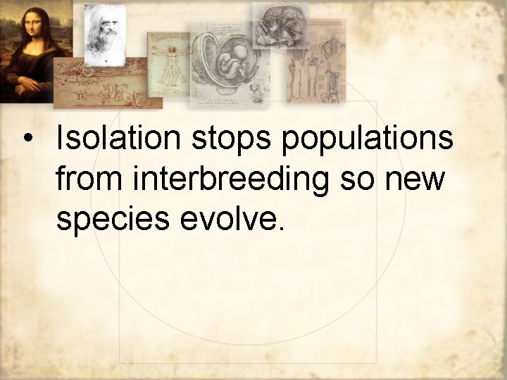  • Isolation stops populations from interbreeding so new species evolve. 
