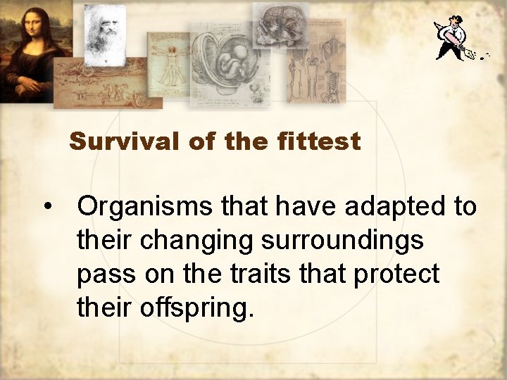 Survival of the fittest • Organisms that have adapted to their changing surroundings pass