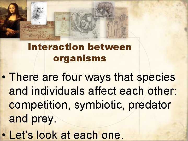Interaction between organisms • There are four ways that species and individuals affect each