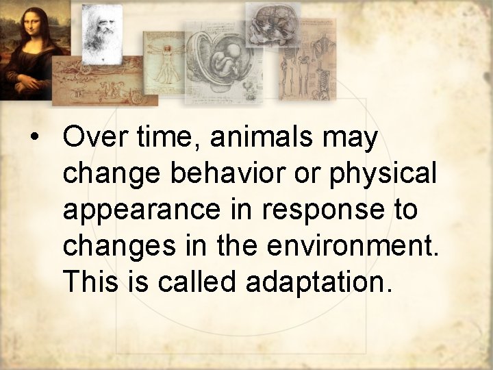  • Over time, animals may change behavior or physical appearance in response to