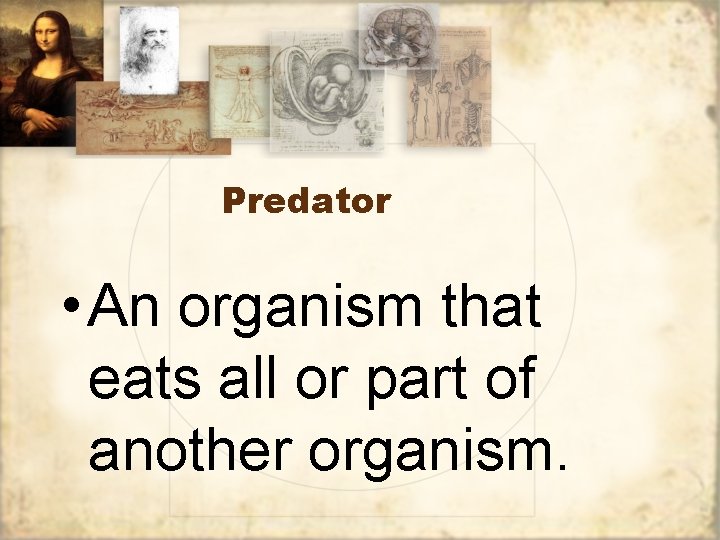 Predator • An organism that eats all or part of another organism. 