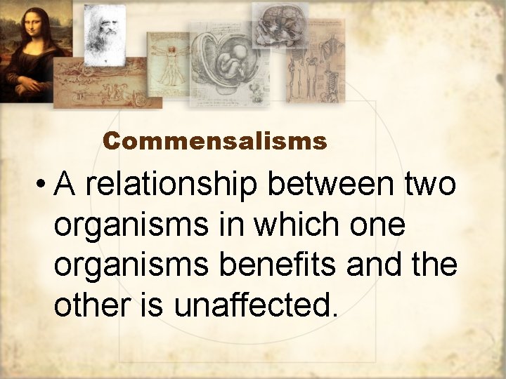 Commensalisms • A relationship between two organisms in which one organisms benefits and the