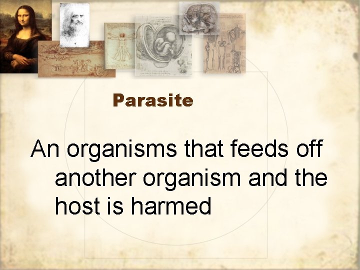 Parasite An organisms that feeds off another organism and the host is harmed 