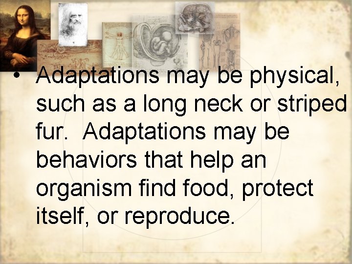  • Adaptations may be physical, such as a long neck or striped fur.
