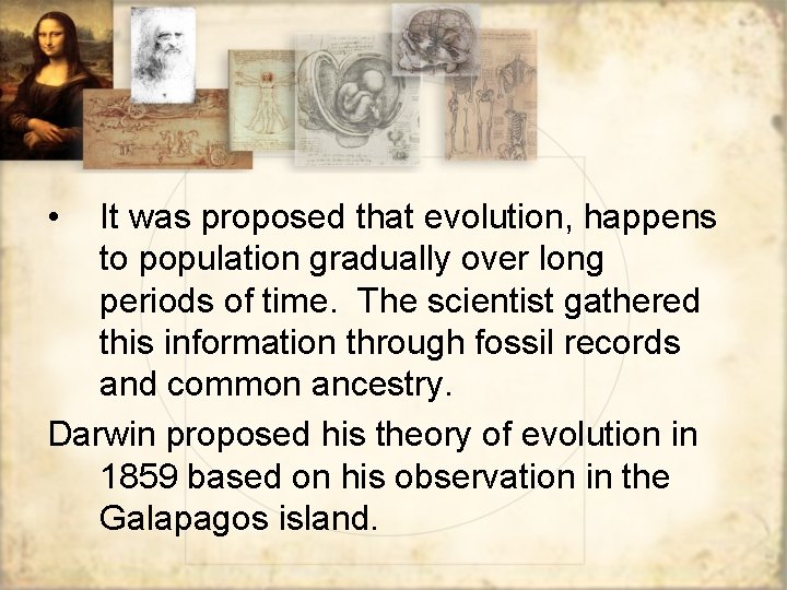 • It was proposed that evolution, happens to population gradually over long periods