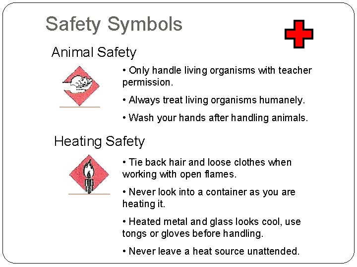 Safety Symbols Animal Safety • Only handle living organisms with teacher permission. • Always
