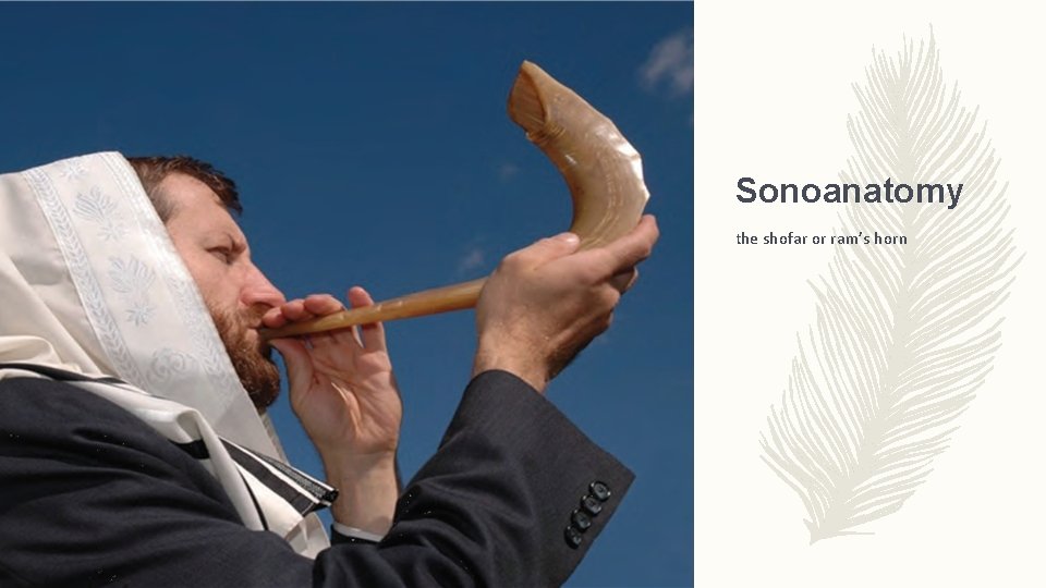 Sonoanatomy the shofar or ram’s horn 