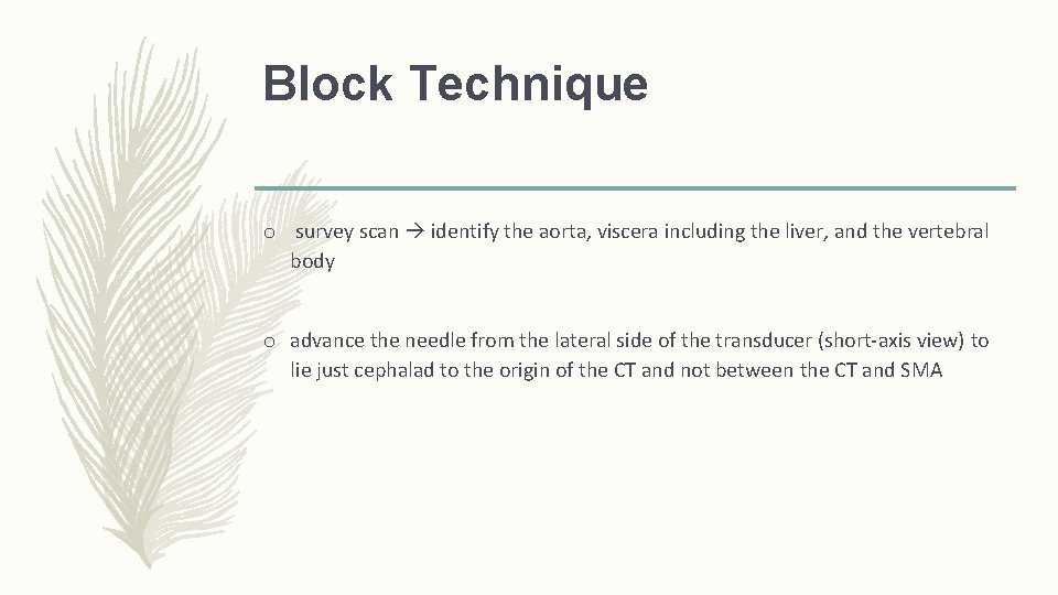 Block Technique o survey scan identify the aorta, viscera including the liver, and the