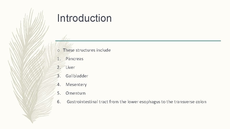 Introduction o These structures include 1. Pancreas 2. Liver 3. Gallbladder 4. Mesentery 5.