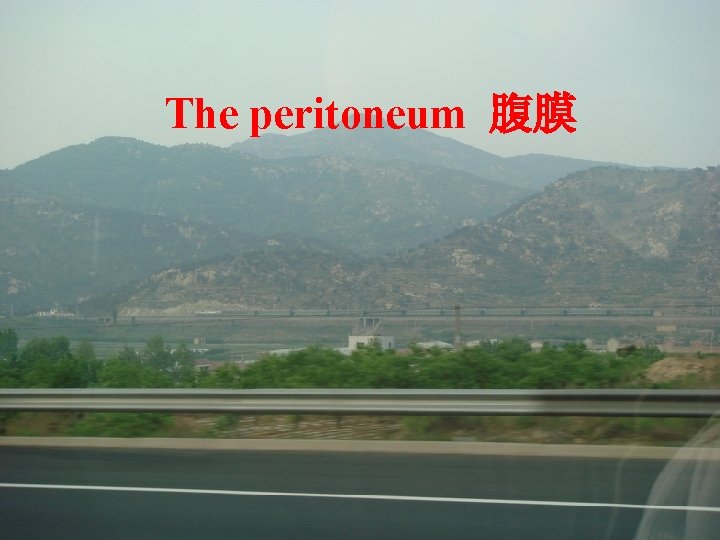 The peritoneum 腹膜 