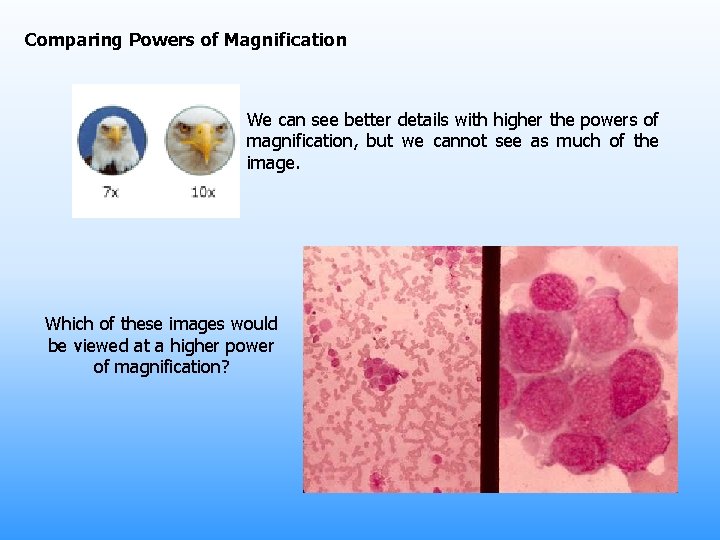 Comparing Powers of Magnification We can see better details with higher the powers of