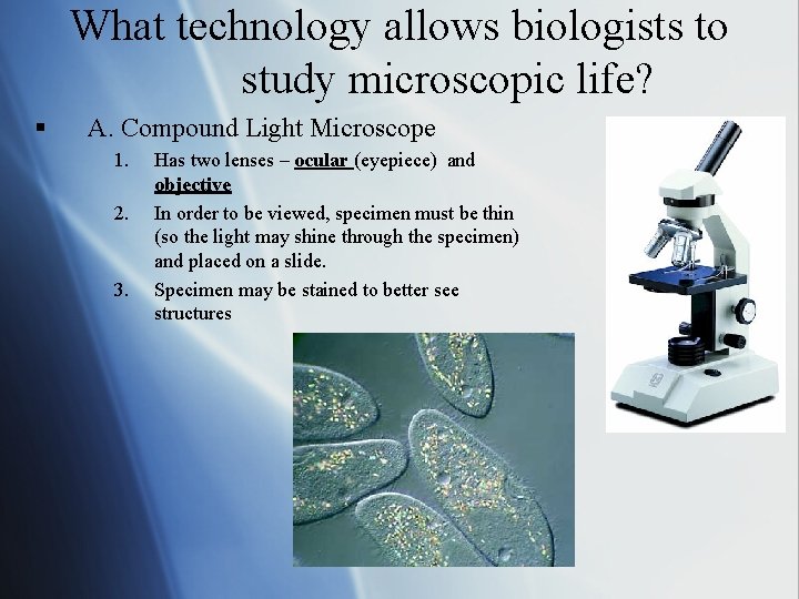 What technology allows biologists to study microscopic life? § A. Compound Light Microscope 1.