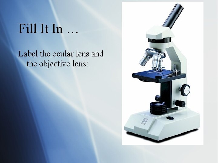 Fill It In … Label the ocular lens and the objective lens: 