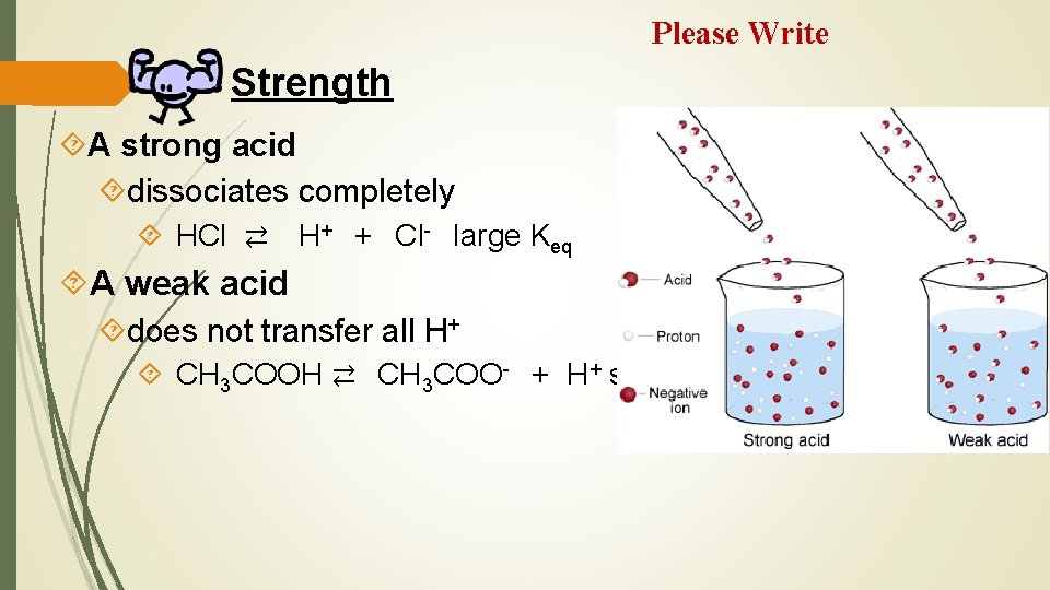 Please Write Strength A strong acid dissociates completely HCl ⇄ H+ + Cl- large