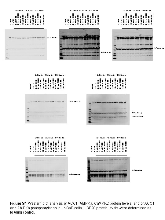 normal 10 n. M R 1881 10 n. M R 1881 normal + c.