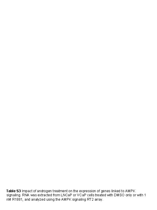 Table S 3 Impact of androgen treatment on the expression of genes linked to