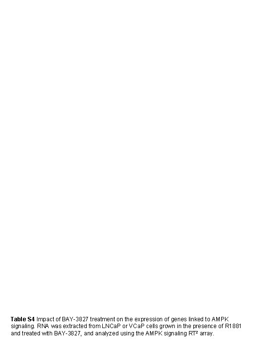 Table S 4 Impact of BAY-3827 treatment on the expression of genes linked to