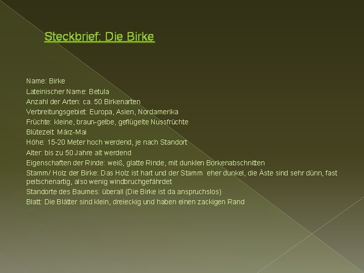 Steckbrief: Die Birke Name: Birke Lateinischer Name: Betula Anzahl der Arten: ca. 50 Birkenarten