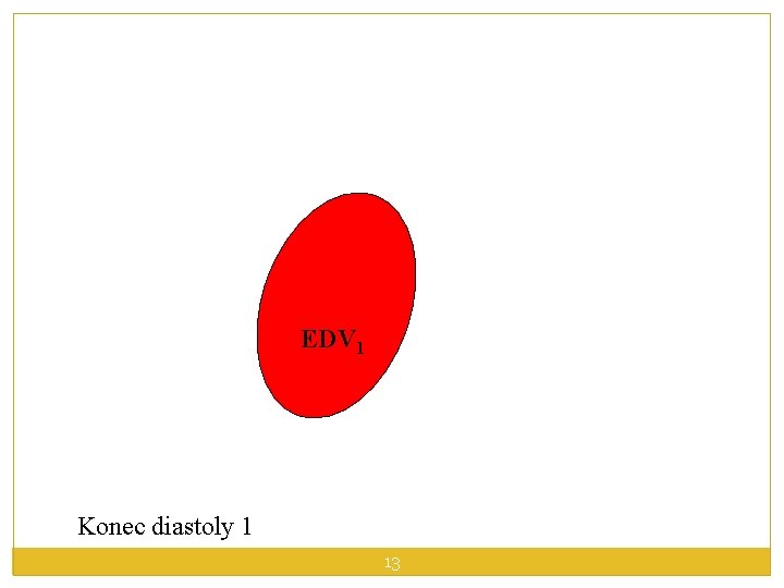 EDV 1 Konec diastoly 1 13 