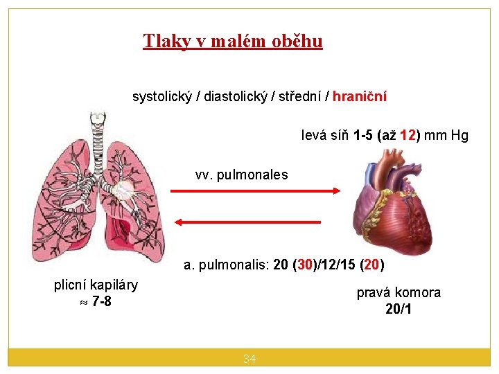 Tlaky v malém oběhu systolický / diastolický / střední / hraniční levá síň 1