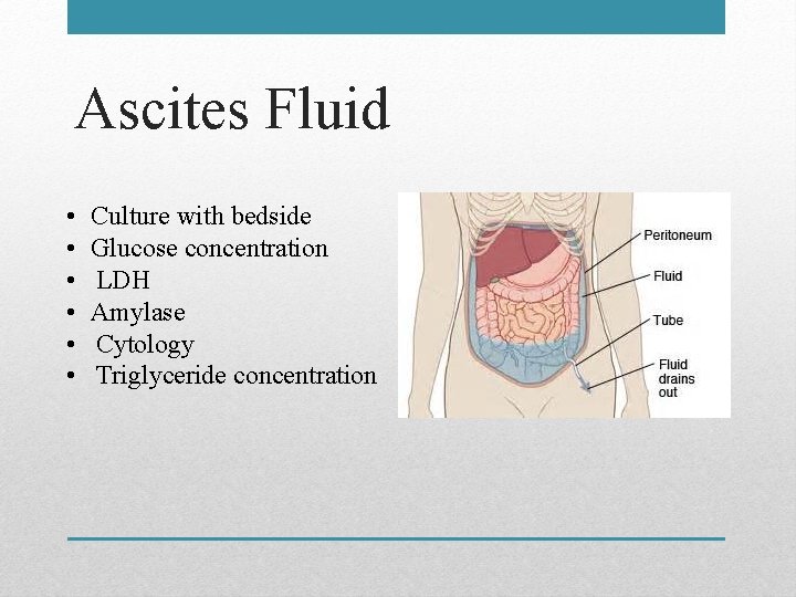 Ascites Fluid • • • Culture with bedside Glucose concentration LDH Amylase Cytology Triglyceride