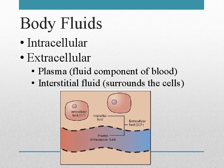 Body Fluids • Intracellular • Extracellular • Plasma (fluid component of blood) • Interstitial