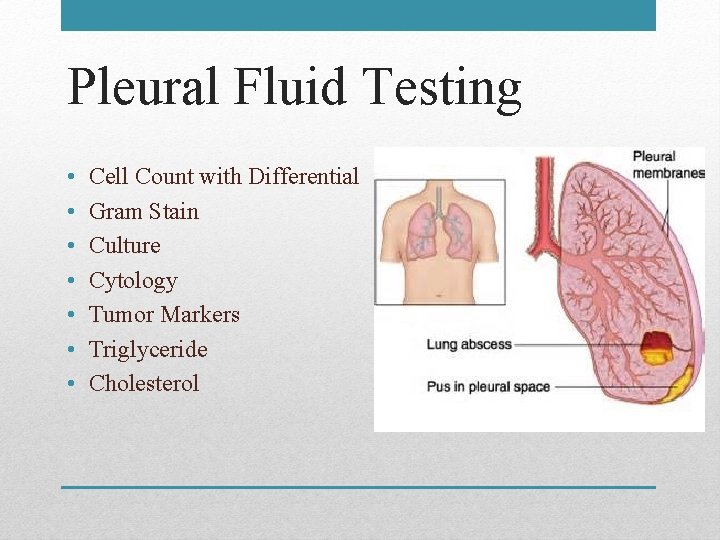 Pleural Fluid Testing • • Cell Count with Differential Gram Stain Culture Cytology Tumor