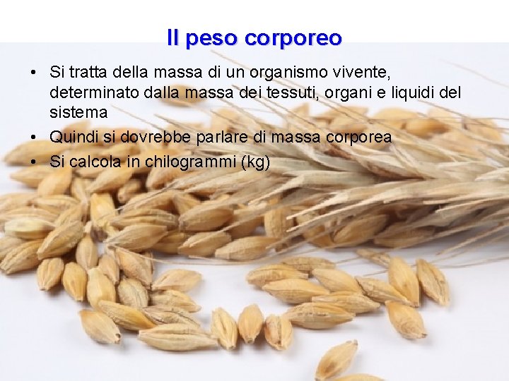 Il peso corporeo • Si tratta della massa di un organismo vivente, determinato dalla