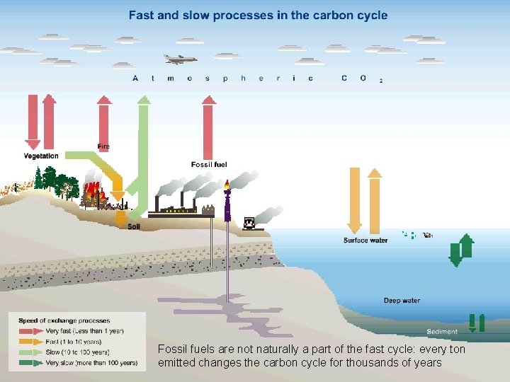 Fossil fuels are not naturally a part of the fast cycle: every ton emitted