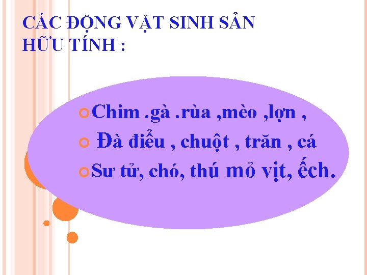 CÁC ĐỘNG VẬT SINH SẢN HỮU TÍNH : Chim . gà. rùa , mèo