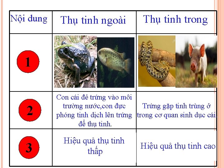 Nội dung Thụ tinh ngoài Thụ tinh trong 1 2 3 Con cái đẻ