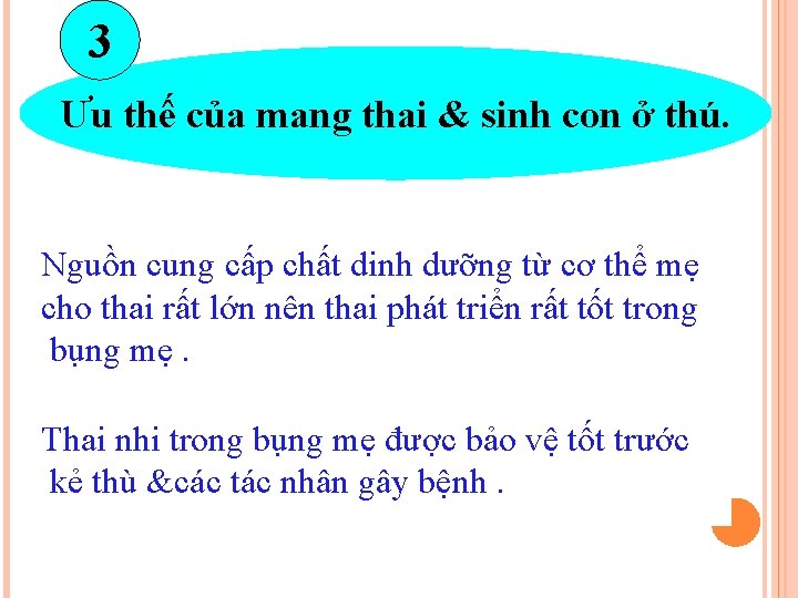 3 Ưu thế của mang thai & sinh con ở thú. Nguồn cung cấp