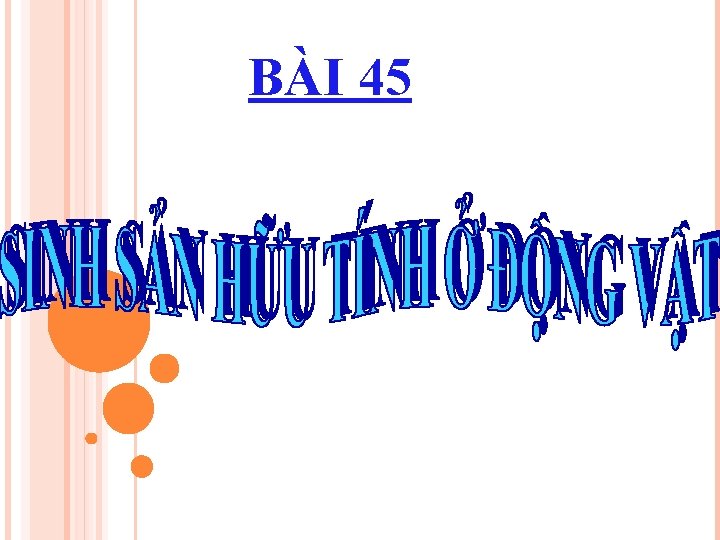 BÀI 45 