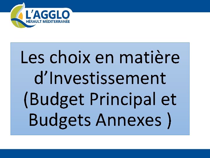 Les choix en matière d’Investissement (Budget Principal et Budgets Annexes ) 