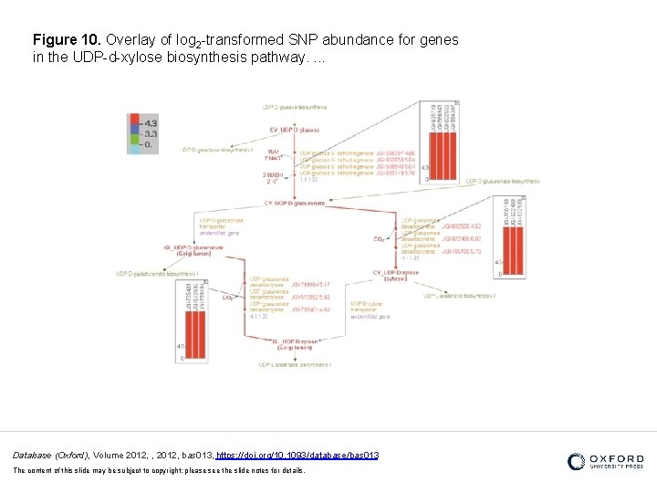 Figure 10. Overlay of log 2 -transformed SNP abundance for genes in the UDP-d-xylose