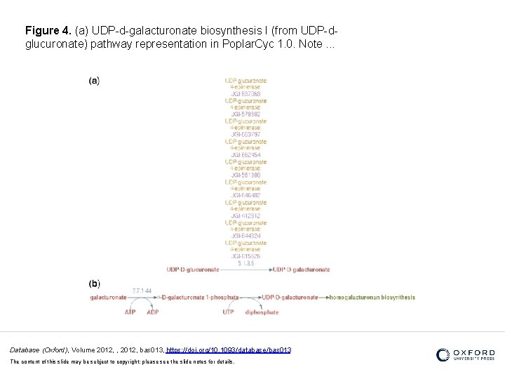 Figure 4. (a) UDP-d-galacturonate biosynthesis I (from UDP-dglucuronate) pathway representation in Poplar. Cyc 1.