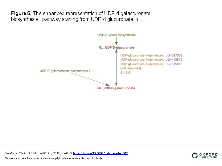 Figure 5. The enhanced representation of UDP-d-galacturonate biosynthesis I pathway starting from UDP-d-glucuronate in.