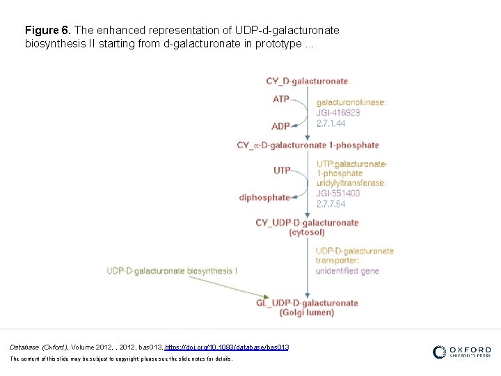 Figure 6. The enhanced representation of UDP-d-galacturonate biosynthesis II starting from d-galacturonate in prototype.